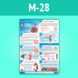 Плакат «Восемь правил гигиены. Как избежать коронавируса, гриппа и ОРВИ» (М-28, ламинированная бумага, А3, 1 лист)